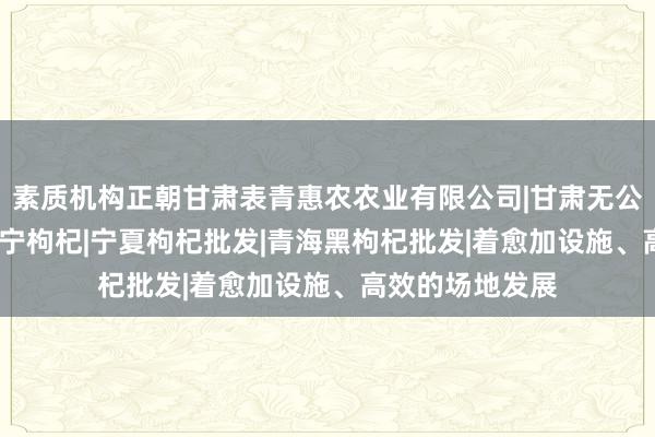 素质机构正朝甘肃表青惠农农业有限公司|甘肃无公害枸杞|枸杞|中宁枸杞|宁夏枸杞批发|青海黑枸杞批发|着愈加设施、高效的场地发展